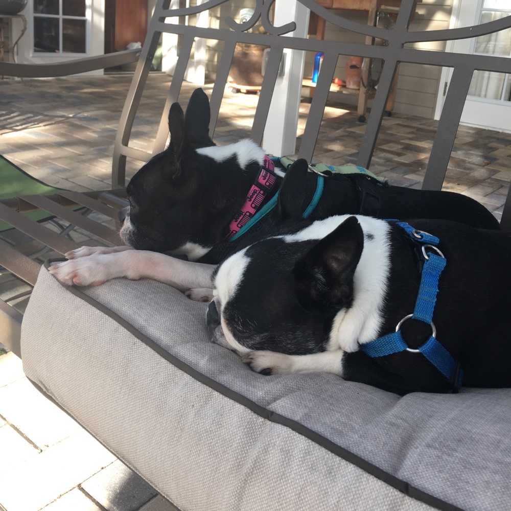 The girls want everyone to bundle for discounts!!